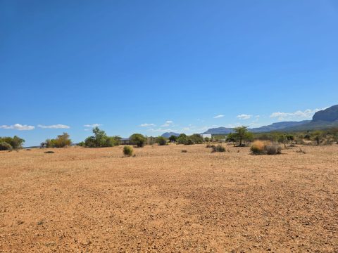 Le site d'hybridation de Benenitra